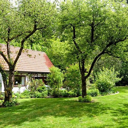 Kleines Haus Villa Ganderkesee Eksteriør bilde